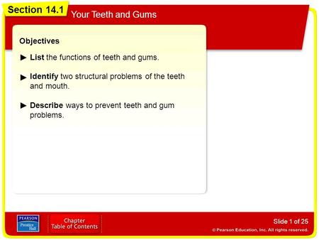 Section 14.1 Your Teeth and Gums Slide 1 of 25 Objectives List the functions of teeth and gums. Identify two structural problems of the teeth and mouth.