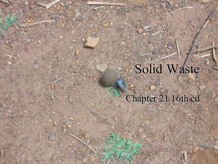 Solid Waste Chapter 21 16th ed. MSW  1.5% of total waste stream  30% of MSW is recycled or composted, 55% landfilled, 15% burned in incinerator  3M.