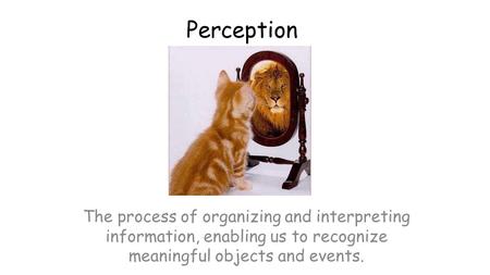 Perception The process of organizing and interpreting information, enabling us to recognize meaningful objects and events.