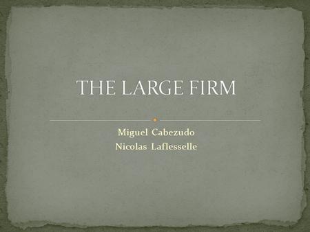 Miguel Cabezudo Nicolas Laflesselle. 1. DEFINITION 2. TYPES OF GROUPING 3. ORGANISATION STRUCTURE 4. EXAMPLES 5. QUESTIONS 6. REFERENCES.