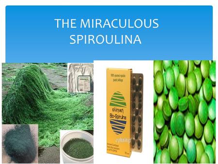 THE MIRACULOUS SPIROULINA. Spiroulina is an eatable seaweed with a characteristic blue- green color. The scientific name is arthrospeira. Spiroulina is.