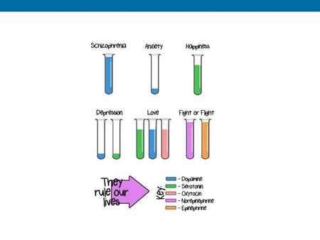 6.1 Examples of small-molecule and peptide neurotransmitters. (Part 1)