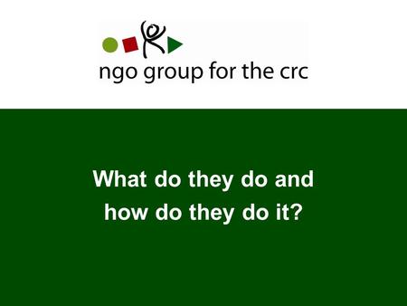 What do they do and how do they do it?. Presentation  History, structure and governance  Main areas of work  Achievements  Challenges  Lessons learnt.