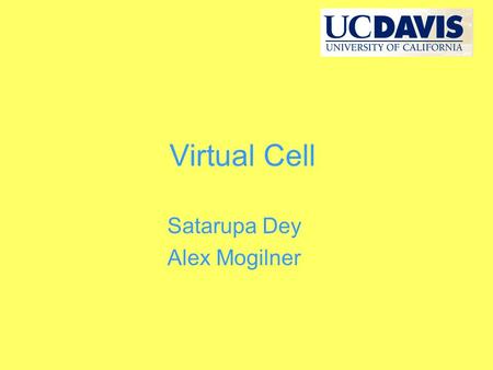 Virtual Cell Satarupa Dey Alex Mogilner. What is Virtual cell? The Virtual cell (or Vcell) is a software developed by NRCAM. This software platform has.