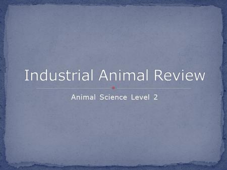 Animal Science Level 2. Unit EQ: What are industrial animals and how are they utilized? Concept : Beef Lesson EQ: How are cattle manipulated for food?