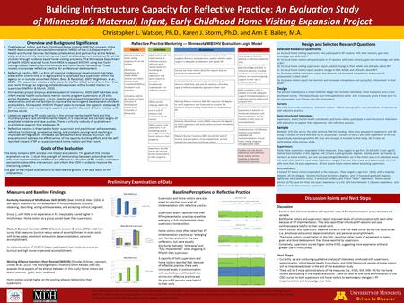 Preliminary Examination of Data Christopher L. Watson, Ph.D., Karen J. Storm, Ph.D. and Ann E. Bailey, M.A. Building Infrastructure Capacity for Reflective.