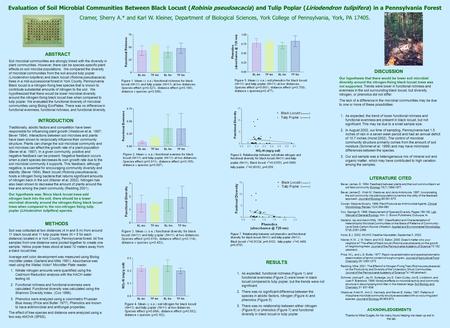 Evaluation of Soil Microbial Communities Between Black Locust (Robinia pseudoacacia) and Tulip Poplar (Liriodendron tulipifera) in a Pennsylvania Forest.