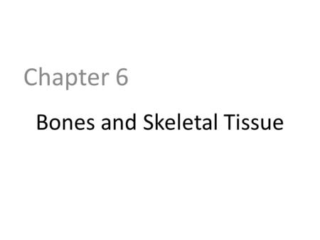 Bones and Skeletal Tissue