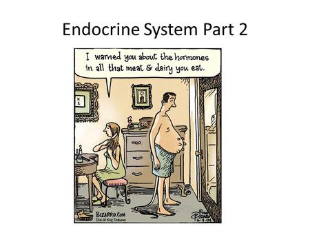 Endocrine System Part 2. Thyroid The thyroid is a gland in your neck, stimulated by the anterior pituitary’s release of TSH The thyroid releases thyroxine.