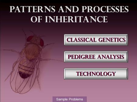 Patterns and Processes