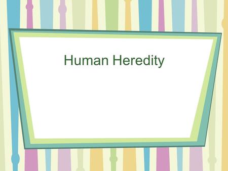 Human Heredity. Human Chromosomes Humans have 46 total chromosomes Two Categories –Autosomes- first 22 pairs –Sex Chromosomes- 23rd pair, determine sex.