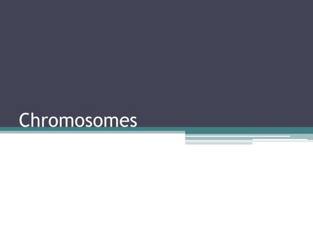 Chromosomes. Chromosome Tightly coiled DNA form Found during mitosis and meiosis Made mostly of DNA and proteins Centromere- point of attachment Chromatids-