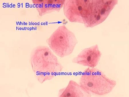 Cells live by Molecular Actions Laboratory Investigation into how molecules carry out Cell life processes.