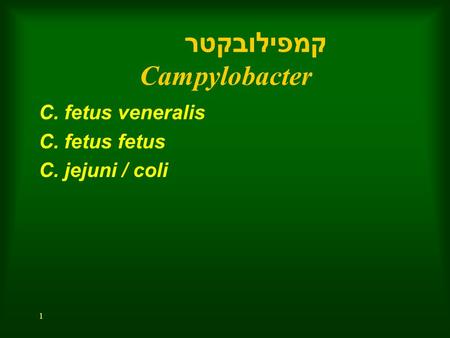 1 קמפילובקטר Campylobacter C. fetus veneralis C. fetus fetus C. jejuni / coli.