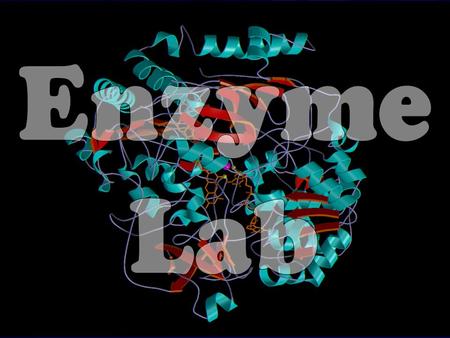 Enzyme s. Group Assignments 123123 1 Temp pH CatVol 50 7 1 20 4 1 20 7 0.5 5 Temp pH CatVol 20 7 1 20 10 1 20 7 1.5 123123 2 Temp pH CatVol 50 7 1 20.