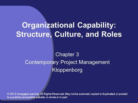 Organizational Capability: Structure, Culture, and Roles