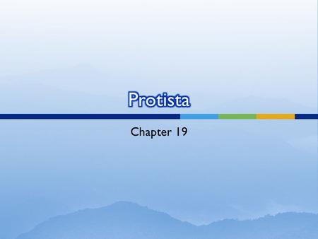 Protista Chapter 19.