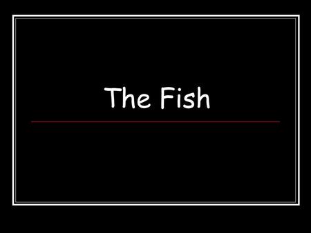 The Fish.