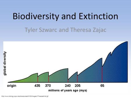 Biodiversity and Extinction