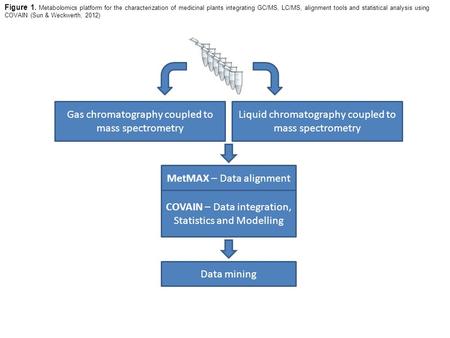 Gas chromatography coupled to mass spectrometry Liquid chromatography coupled to mass spectrometry MetMAX – Data alignment COVAIN – Data integration, Statistics.