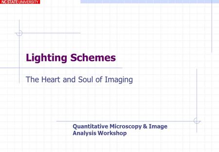 Lighting Schemes The Heart and Soul of Imaging Quantitative Microscopy & Image Analysis Workshop.