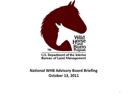 National WHB Advisory Board Briefing October 13, 2011 1.