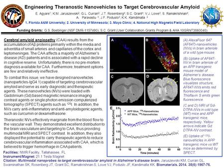 Cerebral amyloid angiopathy (CAA) results from the accumulation of Aβ proteins primarily within the media and adventitia of small arteries and capillaries.