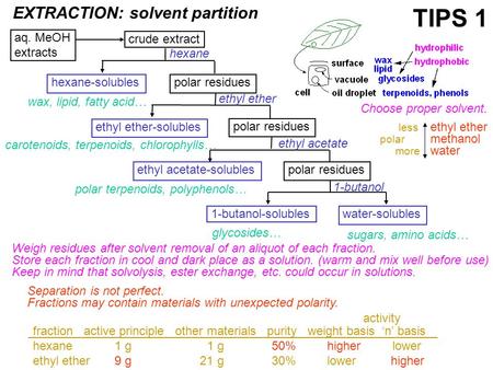 EXTRACTION: solvent partition crude extract hexane-solubles ethyl ether-solubles ethyl acetate-solubles 1-butanol-solubles polar residues water-solubles.