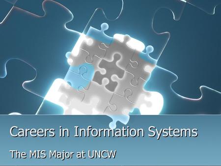 Careers in Information Systems The MIS Major at UNCW.