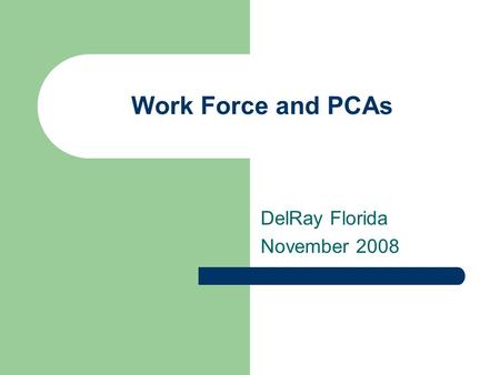 Work Force and PCAs DelRay Florida November 2008.