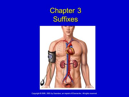 Chapter 3 Suffixes Copyright © 2008, 2005 by Saunders, an imprint of Elsevier Inc. All rights reserved.