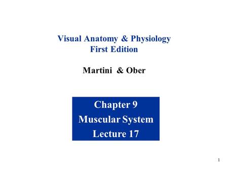 Visual Anatomy & Physiology First Edition Martini & Ober