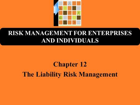 RISK MANAGEMENT FOR ENTERPRISES AND INDIVIDUALS Chapter 12 The Liability Risk Management.