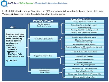 SAFE Care - ‘Safety Express’ – Mental Health & Learning Disabilities