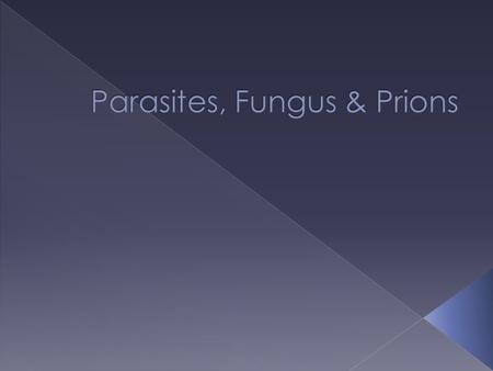  Caused by parasite › Transmitted by mosquito › Once injected into the human, the parasite grows and multiples first in the liver and then the red blood.