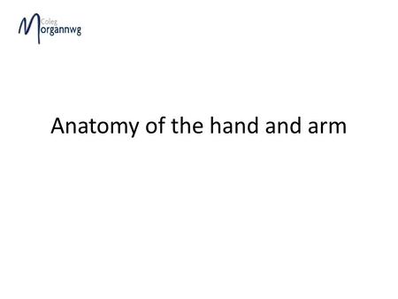 Anatomy of the hand and arm. Nail growth Nails are protective structures on the end joints of fingers and toes which develop from the skin/Epidermis.