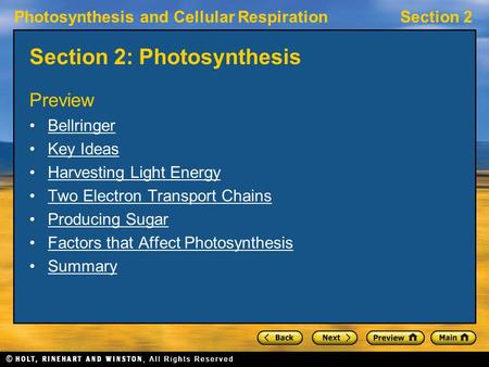 Section 2: Photosynthesis