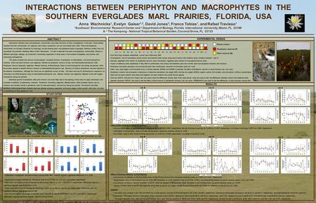 INTERACTIONS BETWEEN PERIPHYTON AND MACROPHYTES IN THE SOUTHERN EVERGLADES MARL PRAIRIES, FLORIDA, USA Anna Wachnicka 1, Evelyn Gaiser 1,2, David Jones.