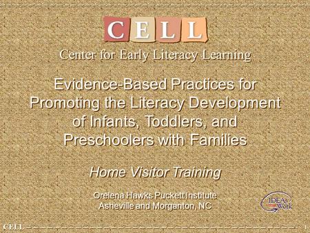 Evidence-Based Practices for Promoting the Literacy Development