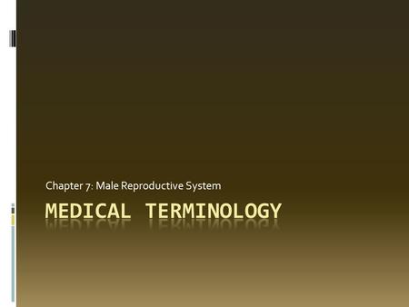 Chapter 7: Male Reproductive System