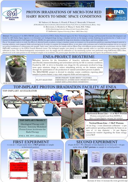 M. Vadrucci, G. Bazzano, L. Picardi, P. Nenzi, C. Ronsivalle, V. Surrenti (ENEA Radiation Sources Laboratory, Research Center Frascati, Via E. Fermi 45,