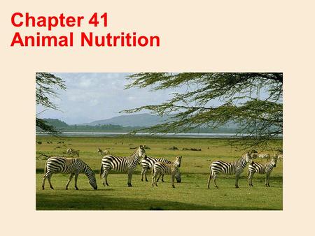 Chapter 41 Animal Nutrition. A nutritionally adequate animal diet satisfies three needs: Fuel (chemical energy) Organic raw materials for biosynthesis.