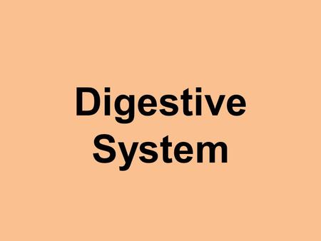 Digestive System.