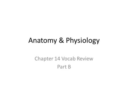 Anatomy & Physiology Chapter 14 Vocab Review Part B.