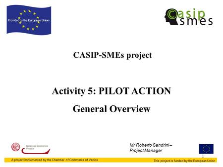 1 CASIP-SMEs project This project is funded by the European Union Provided by the European Union A project implemented by the Chamber of Commerce of Venice.