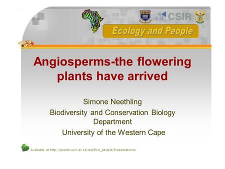 Available at  Angiosperms-the flowering plants have arrived Simone Neethling Biodiversity and Conservation.