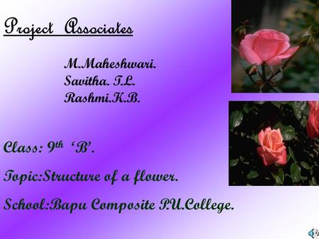 Project Associates Class: 9th ‘B’. Topic:Structure of a flower.