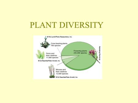 PLANT DIVERSITY.