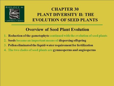 CHAPTER 30 PLANT DIVERSITY II: THE EVOLUTION OF SEED PLANTS