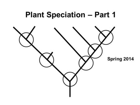 Plant Speciation – Part 1 Spring 2014. Major topics Variation in plant populations and species (1) Gene flow and reproductive isolating barriers (1) Speciation.